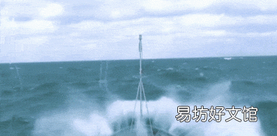 人们在什么动物身上得到了启示发明了什么