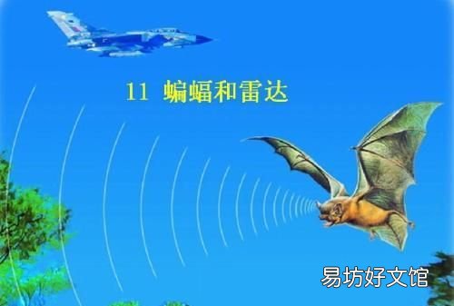 人们在什么动物身上得到了启示发明了什么