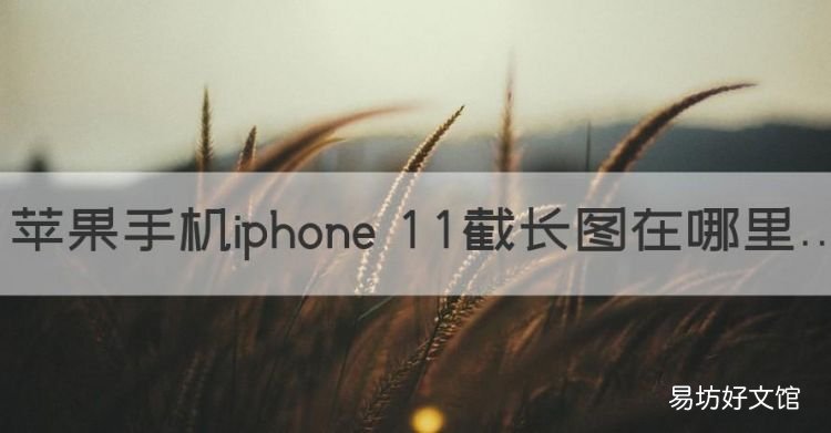 苹果13怎么一次性截长屏，苹果手机iphone 截长图在哪里