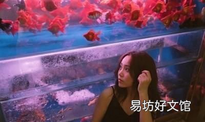 鱼缸里的硝化细菌几天能培养出来