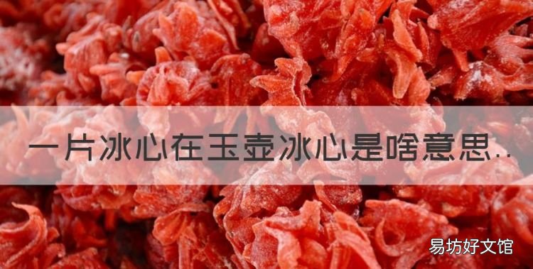 一片冰心在玉壶冰心是啥意思