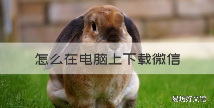 怎么在电脑上微信,企业微信怎么在电脑上登录