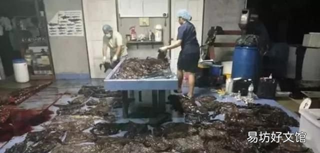 垃圾分类有什么重要意义:生活垃圾分类新规,你知道吗?