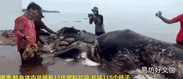 垃圾分类有什么重要意义:生活垃圾分类新规,你知道吗?