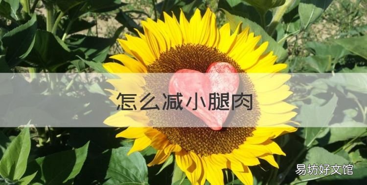 怎么减小腿肉