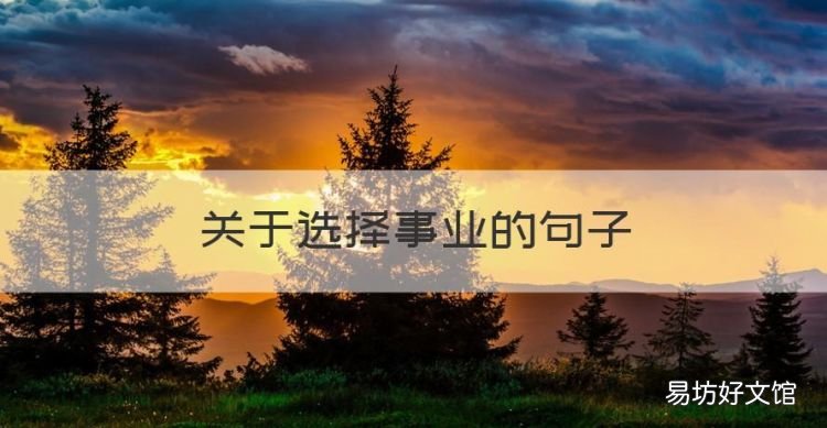 关于选择事业的句子,描写事业的句子【98句】