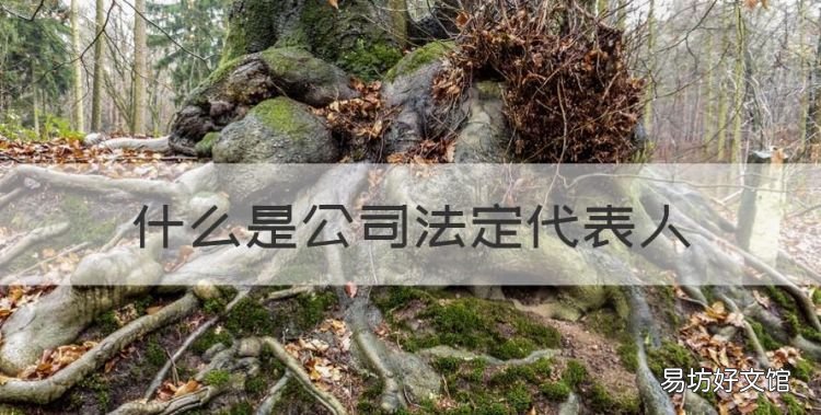 什么是公司法定代表人,企业法定代表人是什么意思?