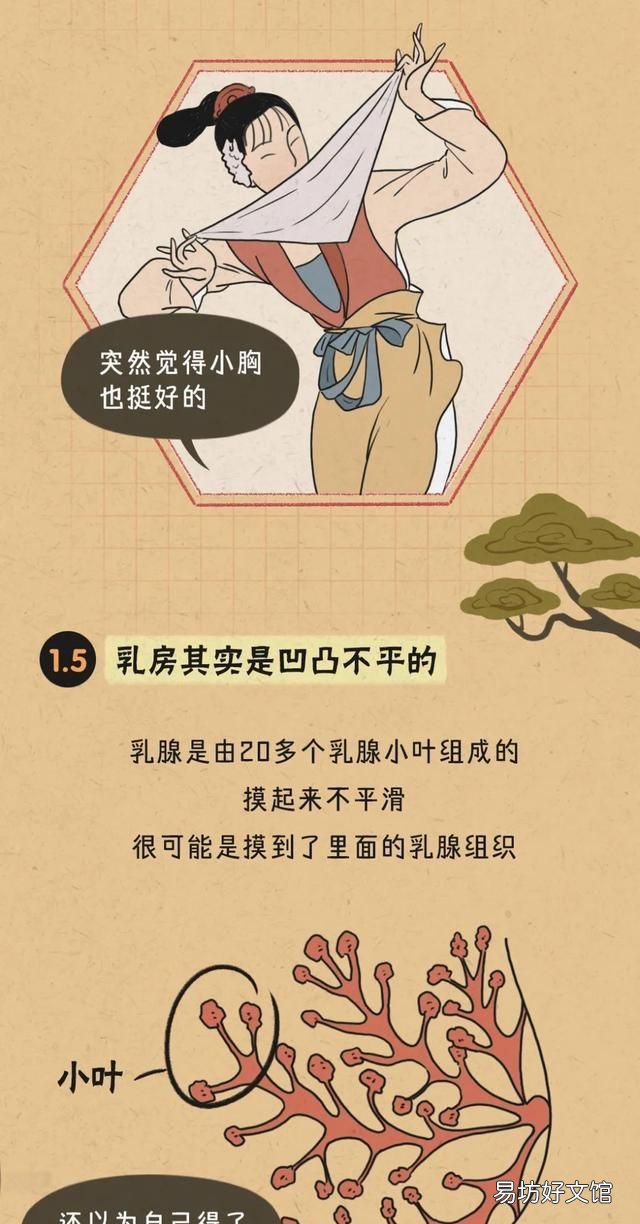 「男士勿进」女人的胸部到底有几种形状?教你正确计算自己的罩杯