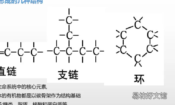 生物大分子以什么为骨架，生物大分子都以碳链为骨架