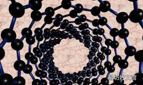 生物大分子以什么为骨架，生物大分子都以碳链为骨架