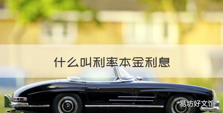 什么叫利率本金利息,本金和本息还款哪个划算