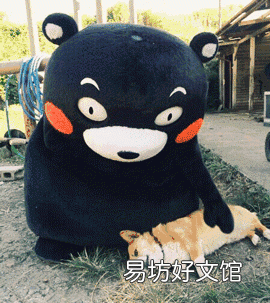 狗和狼的爱情故事