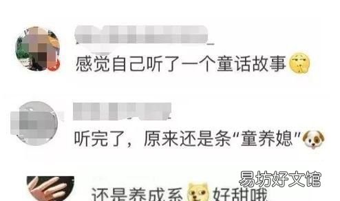 狗和狼的爱情故事