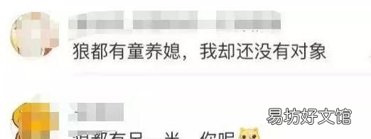 狗和狼的爱情故事