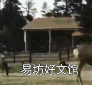 狗和狼的爱情故事