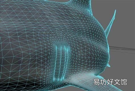 鲨鱼皮泳衣 为什么鲨鱼皮泳衣会退出奥运舞台?