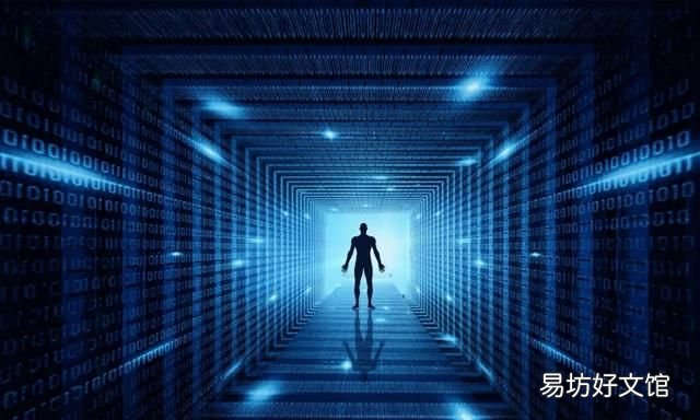 数据信息知识,数据信息与知识的教学反思