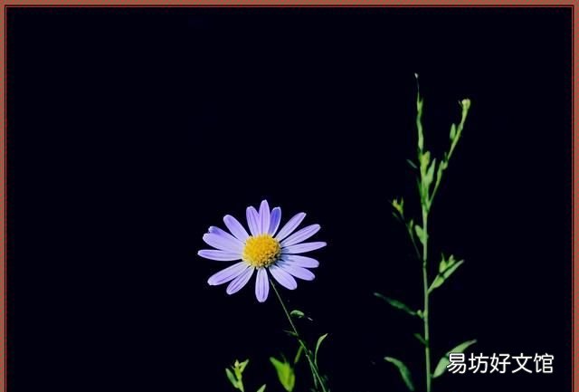 西子湖风景区游玩攻略