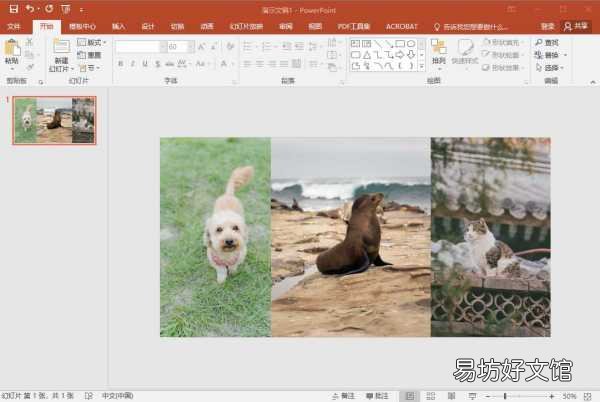 免费分享4个一键合成的软件 手机图片怎么合成一张照片