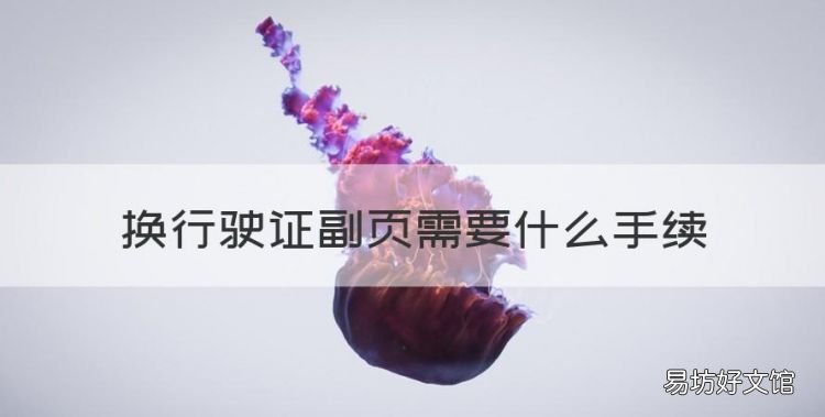换行驶证副页需要什么手续,办理行驶证副本需要什么材料