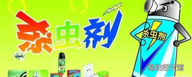 怎样清除家里的小飞蛾