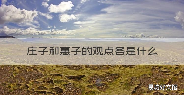 庄子和惠子的观点各是什么
