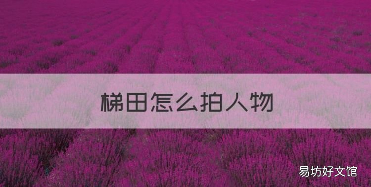 梯田怎么拍人物,红河梯田几月份看最好