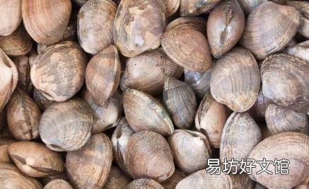 花蛤需要去屎吗 花蛤怎么做好吃