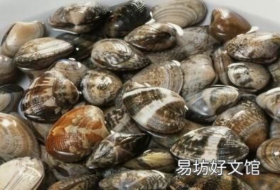 花蛤需要去屎吗 花蛤怎么做好吃