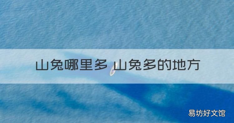 山兔哪里多阴阳师跑跑车,山兔哪里多 山兔多的地方