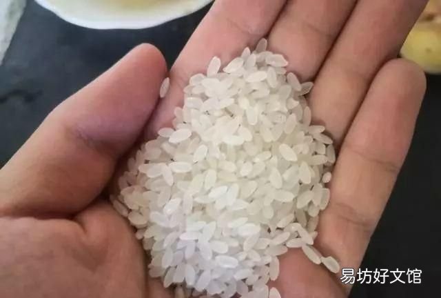 稀饭放多少水，电饭煲煮大米粥放多少水