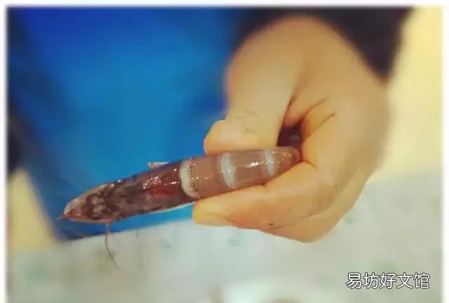 虾怎样煮才好吃又简单