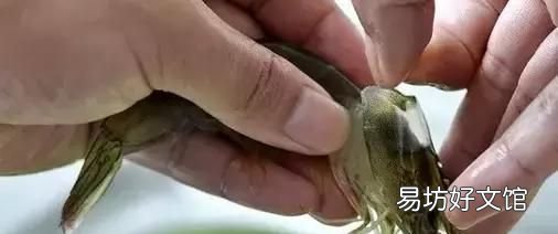 虾怎样煮才好吃又简单