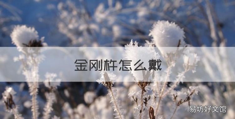 金刚杵怎么戴,金刚杵的寓意是什么