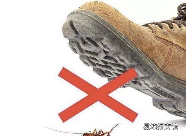 发现有蟑螂往床上爬,怎么办呢