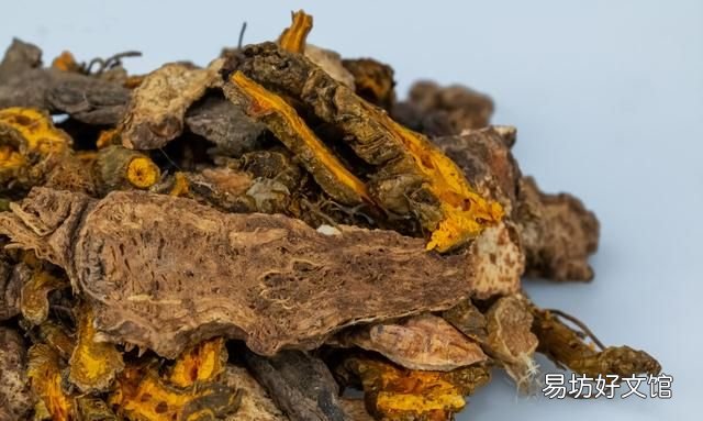 黄连是什么样的草药 清营汤组成
