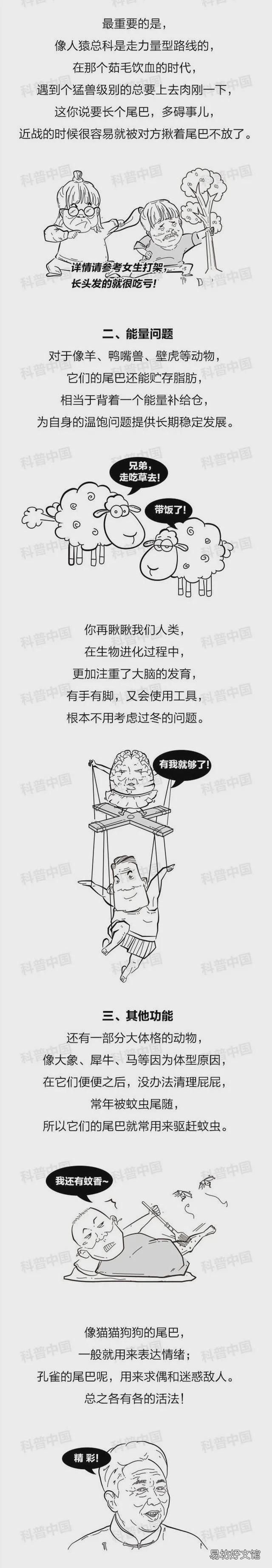 大眼睛长尾巴一跳一跳的动物 动物长尾巴是干什么用的