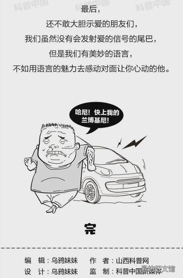 大眼睛长尾巴一跳一跳的动物 动物长尾巴是干什么用的