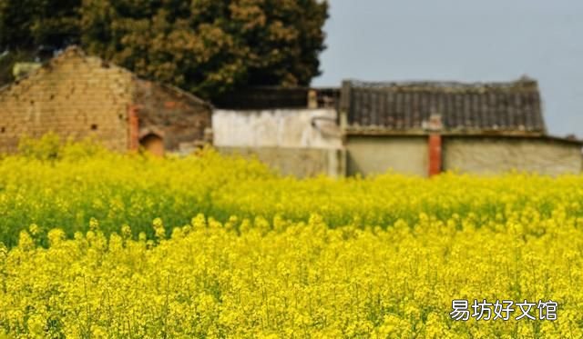 日长篱落无人过的下一句