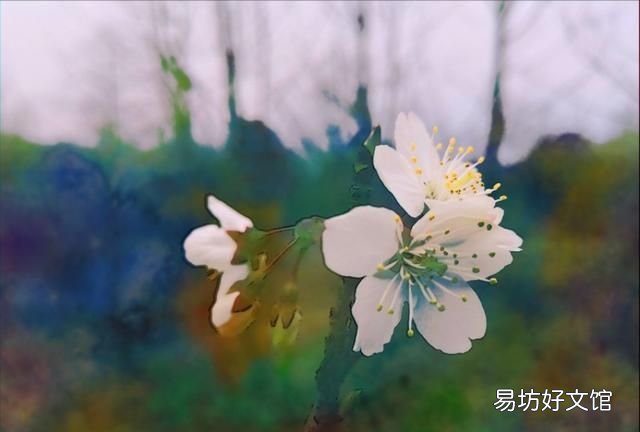 日长篱落无人过的下一句