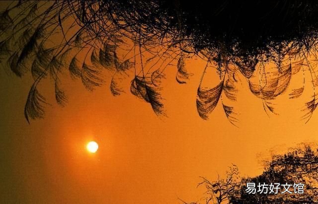 日长篱落无人过的下一句