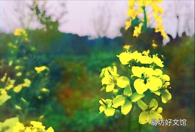 日长篱落无人过的下一句