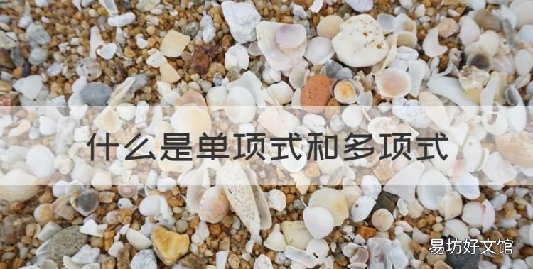 什么是单项式和多项式