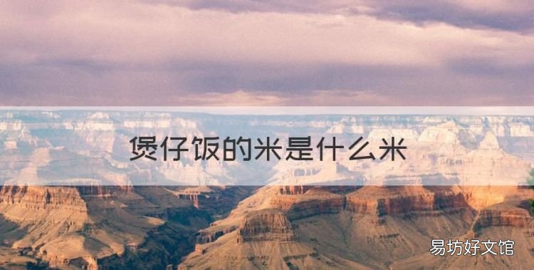 煲仔饭的米是什么米,你们做煲仔饭一般都用什么大米呢