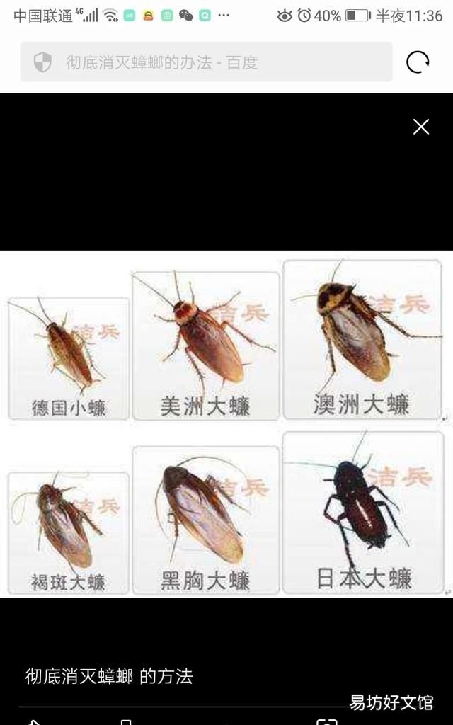 家里蟑螂泛濫了，買過蟑螂屋和膠餌感覺效果都不太好，有什么辦法可以徹底消滅小強