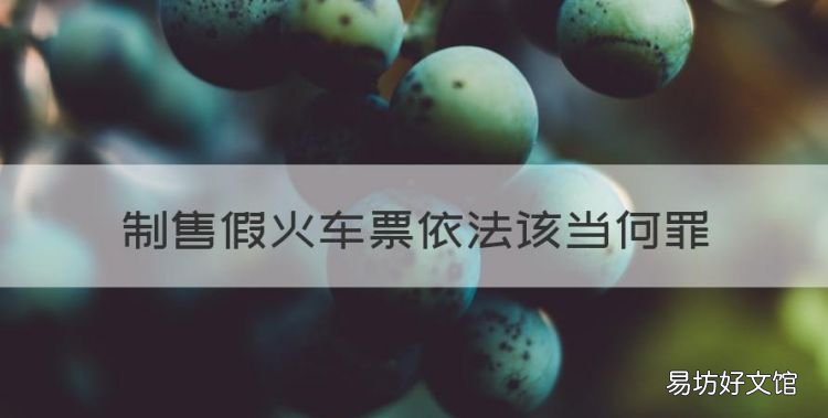 买到车票后怎么找车，制售假火车票依法该当何罪