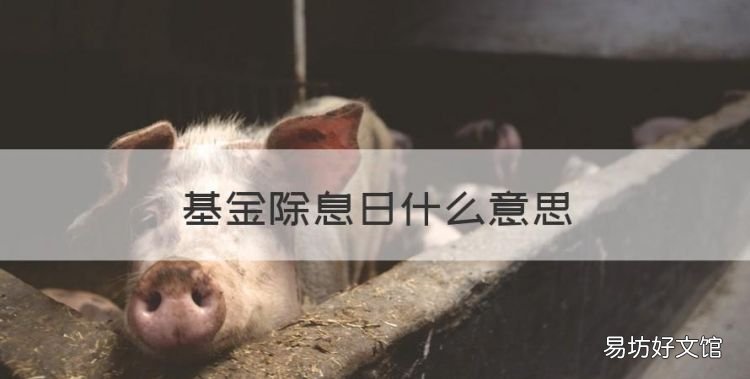 基金除息日什么意思,除权除息日是什么意思