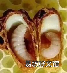 蜂王浆有保质期吗:蜂王浆有保质期吗?