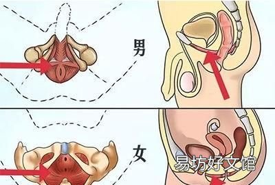 健身房什么器械练腹部
