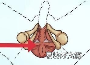 健身房什么器械练腹部
